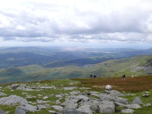 Again that view to the estuary