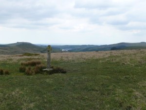 Newleycombe Cross and Burrator
