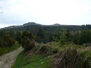 On the path to Leather Tor Bridge with Leather Tor and Sharpitor above
