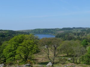 Burrator Reservoir from Snapper Tor