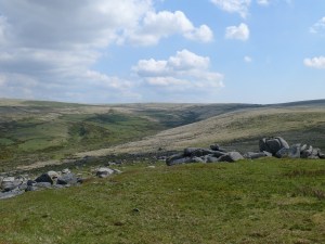 Down Tor 4