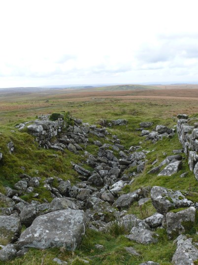 Remains of the Eylesbarrow Tin Mine