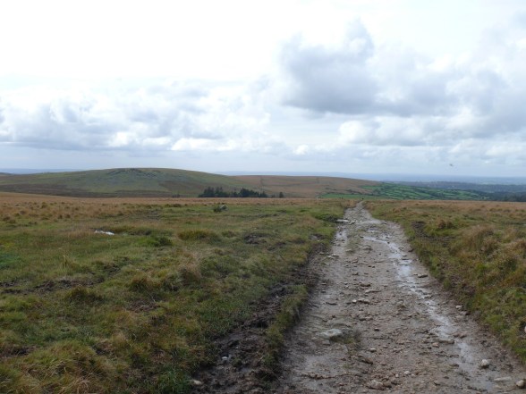 Heading back down the Eylesbarrow track, car park behind the trees