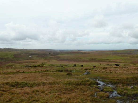 Same view from higher up