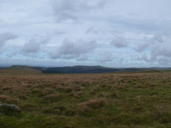 Burrator reservoir surrounded by trees from the climb to Higher Hartor