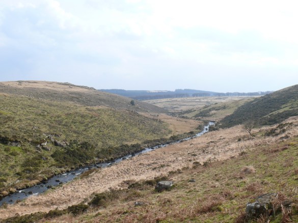 East Dart Waterfall 12