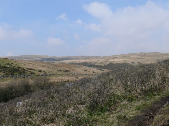 East Dart Waterfall 4
