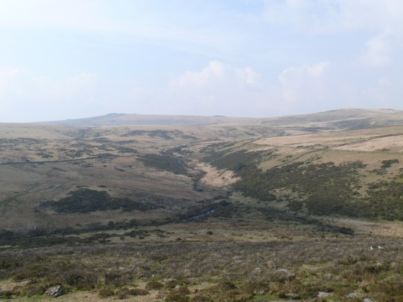 Looking across to Higher White Tor from Hartland Tor