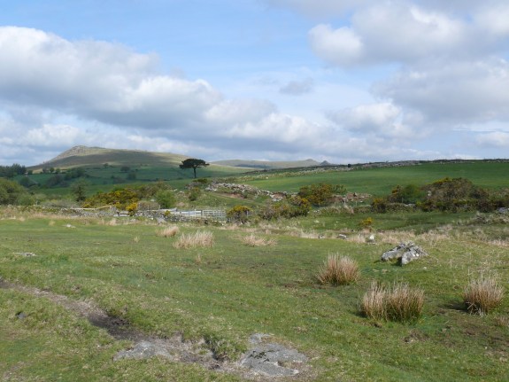 Sheeps Tor from the start of the path to Ditsworthy Warren House