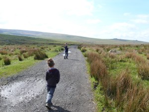 On the track to Ditsworthy Warren House