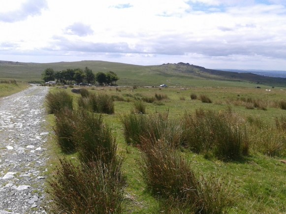 Looking back to the car park with Kings Tor to the right