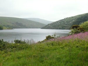Hazy looking Meldon Reservoir at the start of the walk