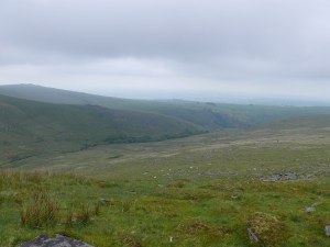 Heading for the trees down beside the West Okement River
