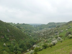 Looking the other way to Meldon Viaduct