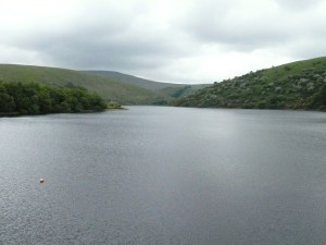 Last look along the reservoir