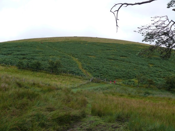 The clear ascent up the side of Little Mell Fell, the boys are at the gate already too long cooped up!