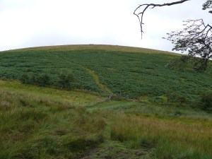 The clear ascent up the side of Little Mell Fell, the boys are at the gate already too long cooped up!