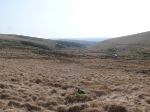 Longaford Tor 15