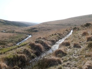Here the Devonport Leat splits away from the West Dart river