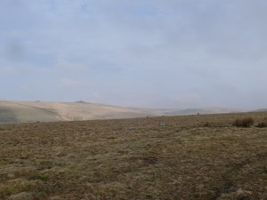 Well what's that! Sun on Beardown Tor