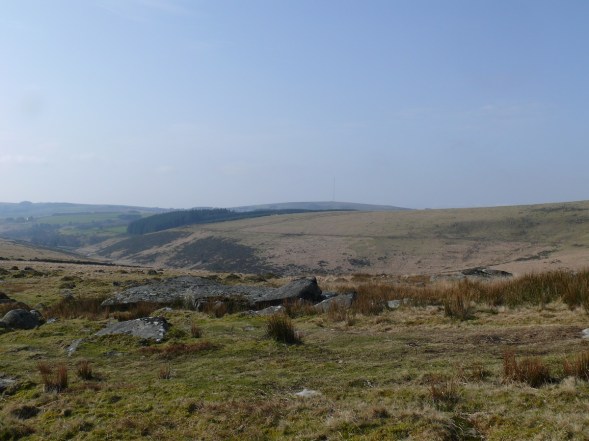 Longaford Tor 9