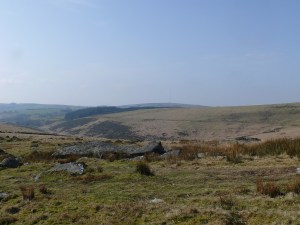 Longaford Tor 9