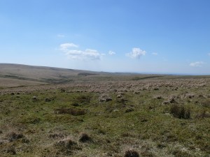 Heading for Plym Ford on the Abbot's Way