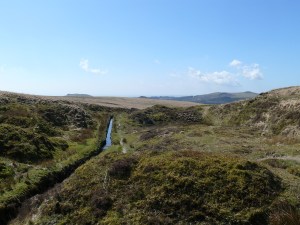 Devonport Leat with Sharpitor in the distance right