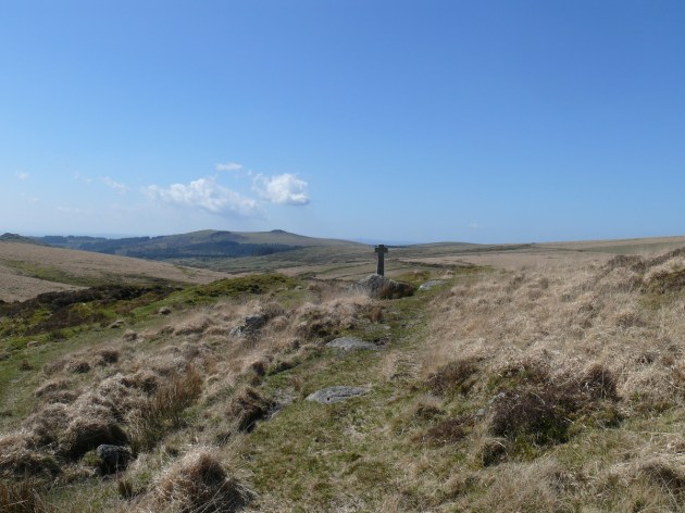 Devonport Leat Cross