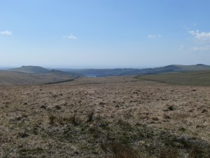 Heading back to the car with a glimpse of Burrator with Sheeps Tor to the left.