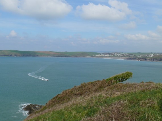 Polzeath again from Stepper Point