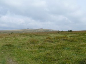 A brighter looking Staple Tors
