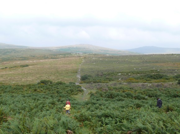 Along the obviously path to Feather Tor