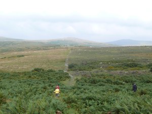 Along the obviously path to Feather Tor
