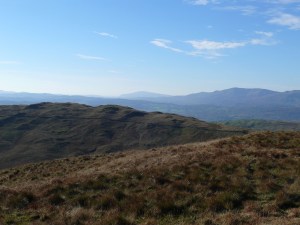 Sour Howes from Sallows