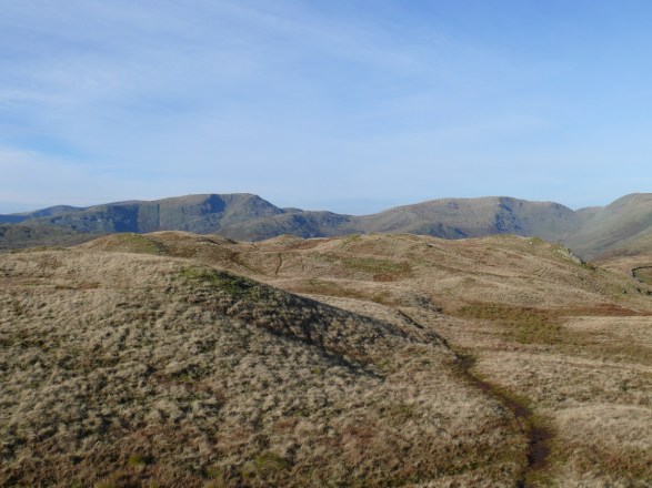 Red Scress left and Caudale Moor right