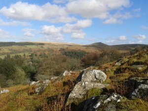 First glimpse over the trees to Down Tor