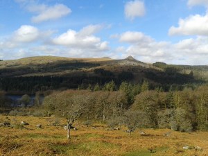 And further round we can see the volcano like Leather Tor with Sharpitor behind