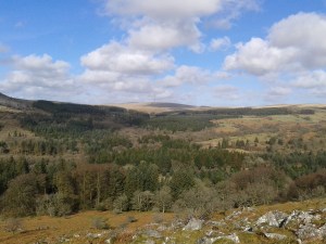 From higher the mast at Princetown can be seen clearly