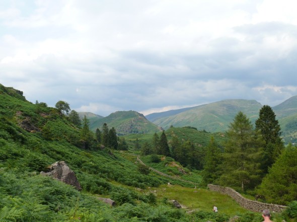 Helm Crag from the descent of Silver How