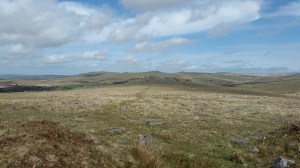 Looking along the path to Kings Tor from Swell Tor