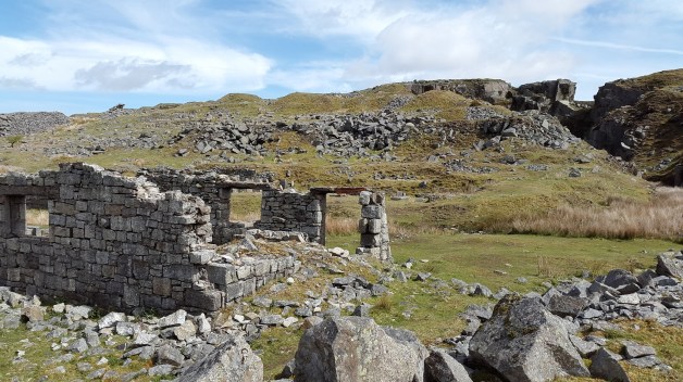 Swell Tor quarry workings