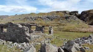 Swell Tor quarry workings