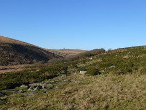 Looking back to Wistman's Wood with the West Dart River to the left