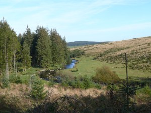The East Dart river from the start of the walk