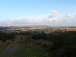 The views on the way back to Bellever Forest Car Park