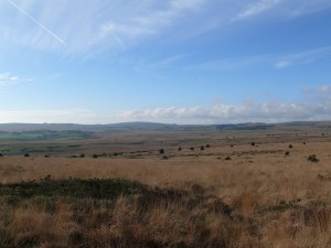 Wide open spaces to North Hessary Tor
