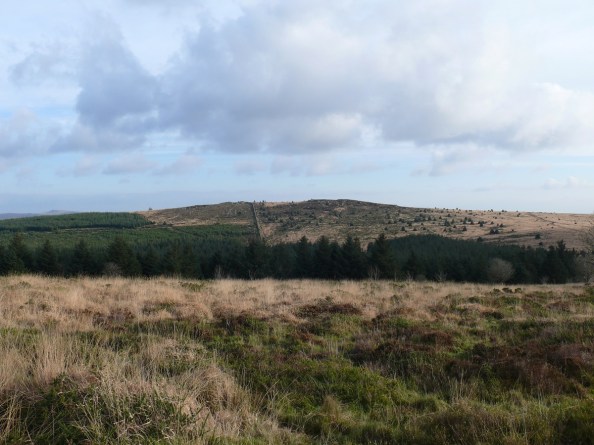 Looking back to Laughter Tor, not on today's agenda