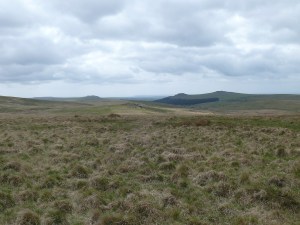 Looking back to Hart Tor