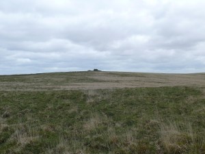 South Hessary Tor across typical Dartmoor terrain